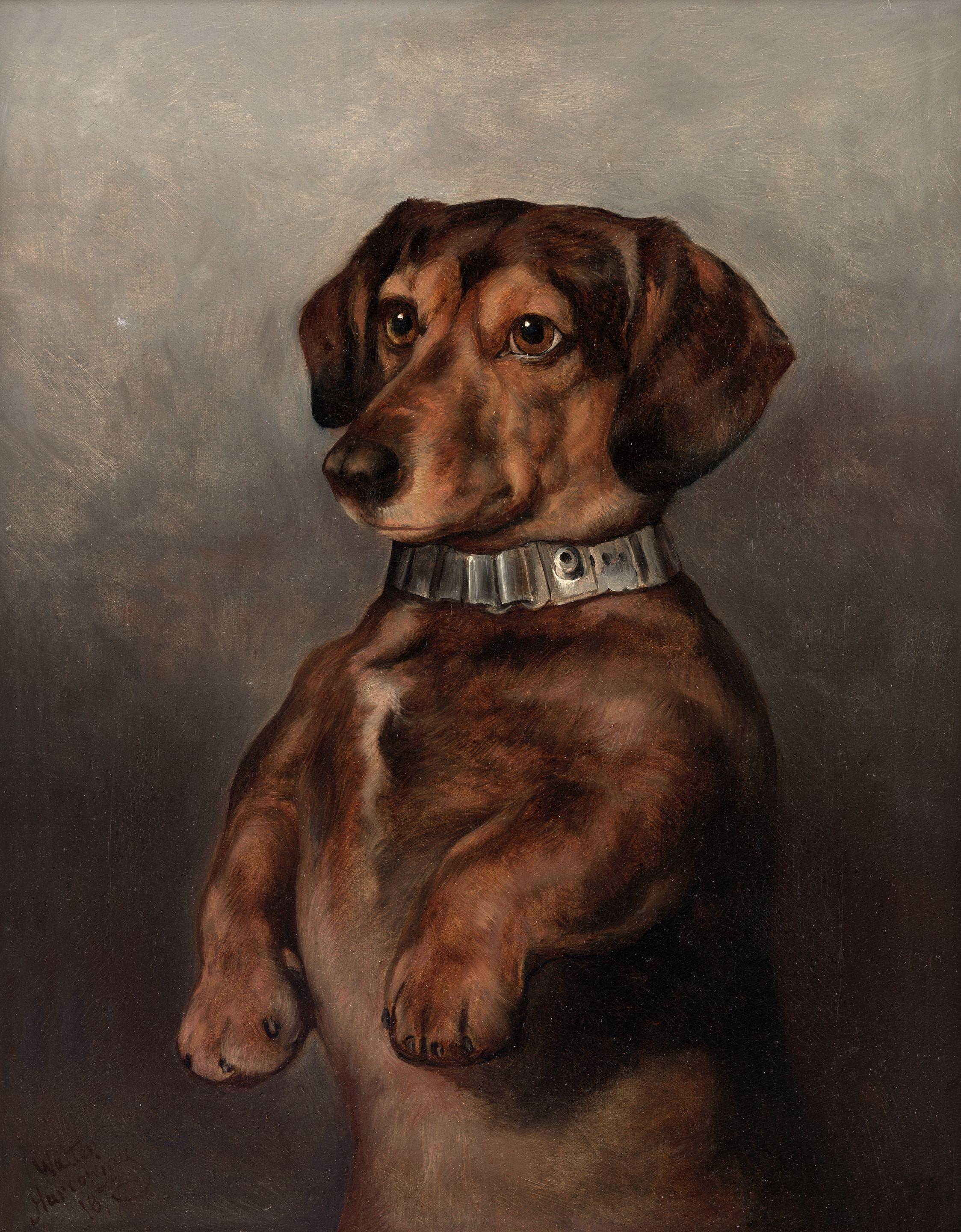 Walter Harrowing - Attention!