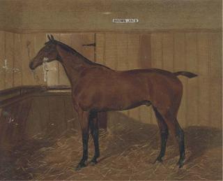 Walter Harrowing - Brown Jack a bay hunter in a stable