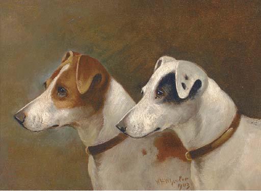 Walter Herbert Wheeler - Two terriers