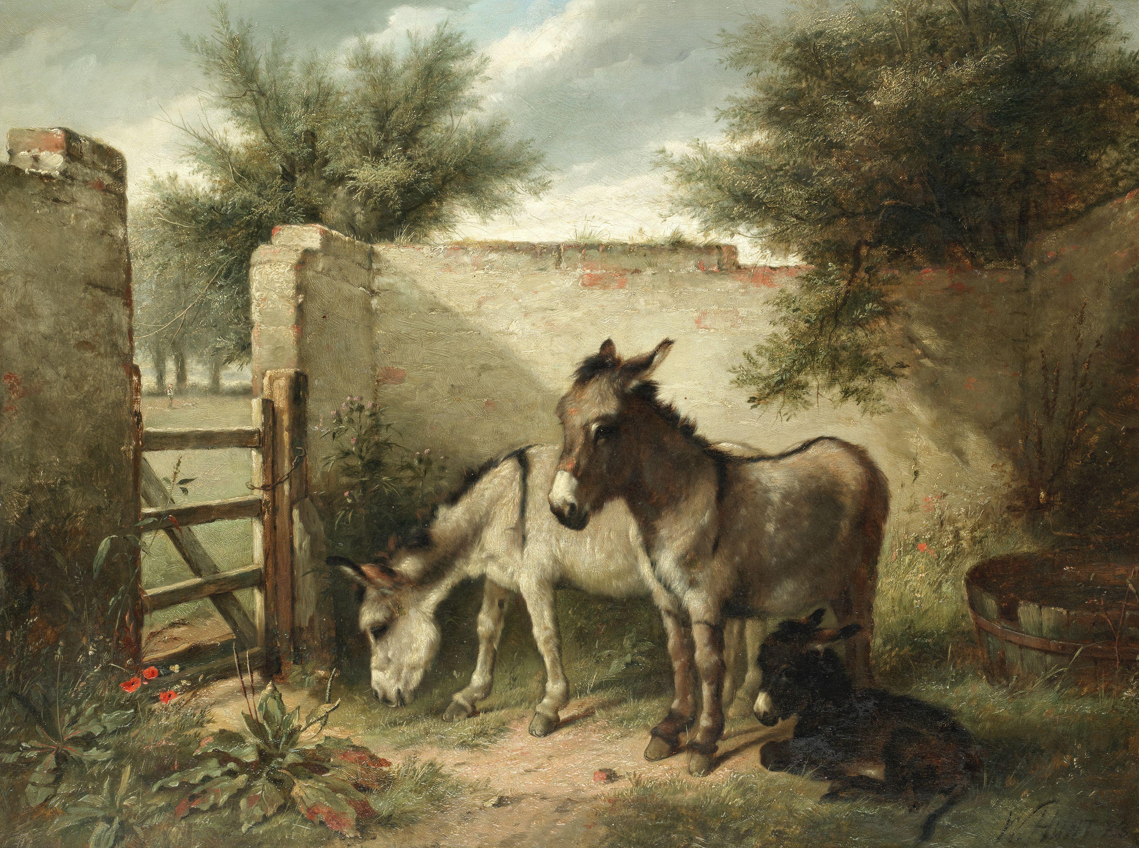 Walter Hunt - A Family Of Donkeys