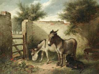 Walter Hunt - A Family Of Donkeys