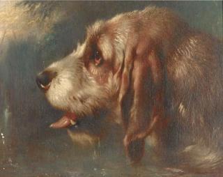 Walter Hunt - A head of a hound