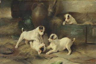 Walter Hunt - Four Puppies at Play