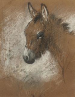 Walter Hunt - Study of a favourite donkey