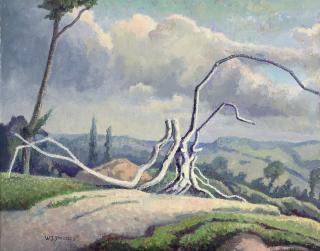 Walter James Steggles - Dead Tree