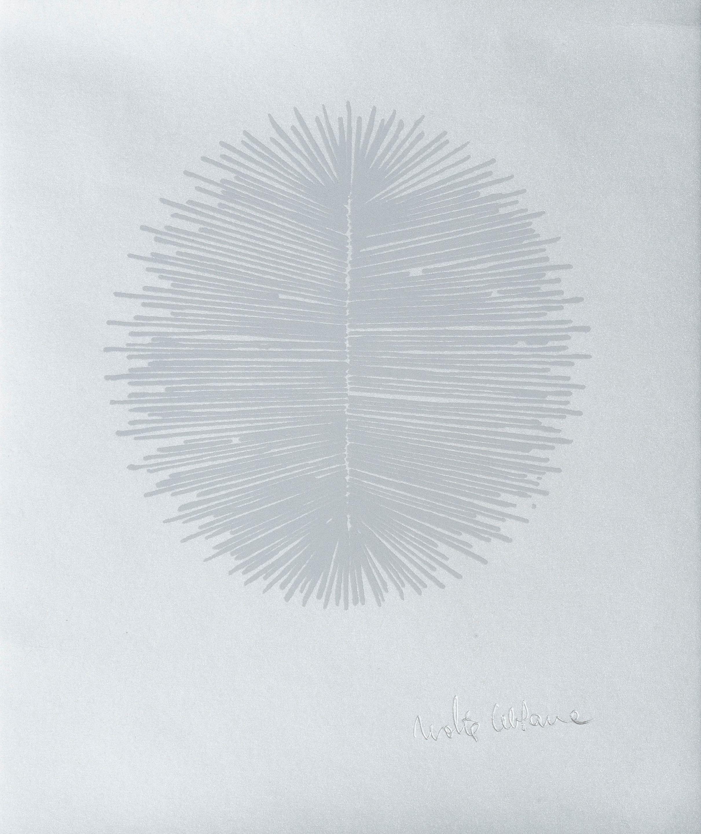 Walter Leblanc - Torsion