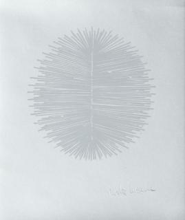 Walter Leblanc - Torsion