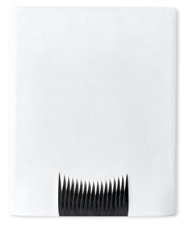 Walter Leblanc - Torsions (N54)