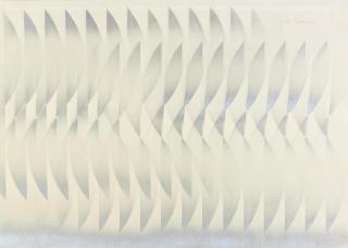 Walter Leblanc - Torsions Schématiques