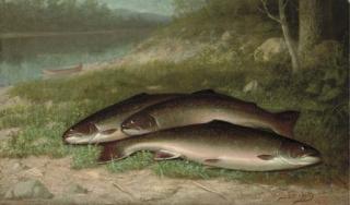 Walter M. Brackett - Trout on a River Bank