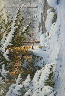 Walter Moras - Winterwald