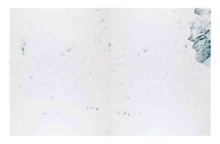 Walter Niedermayr - Nigardsbreen II (diptych)