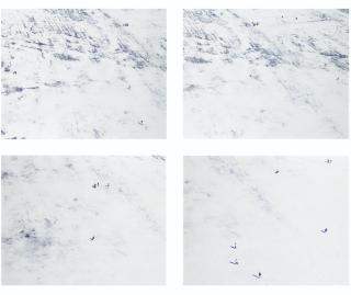 Walter Niedermayr - Schnalstalgletscher Ii\'