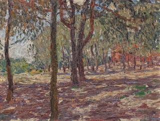 Walter Ophey - Pappeln in der Sonne