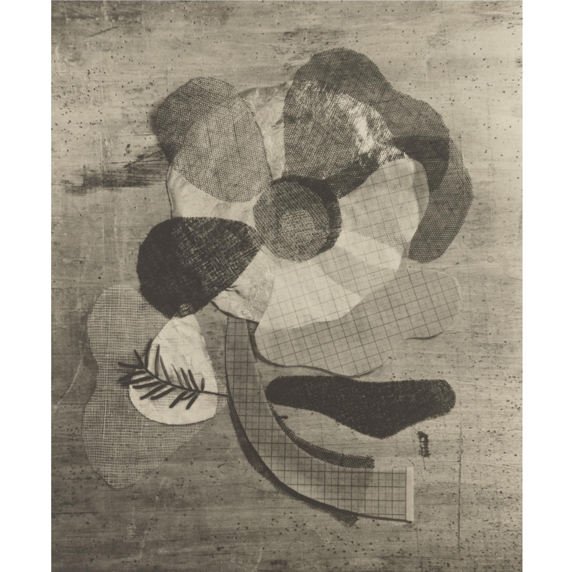 Walter Peterhans - Still Life Composition