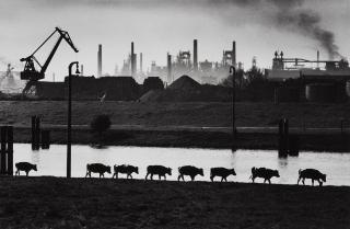 Walter Vogel - Ruhrgebiet