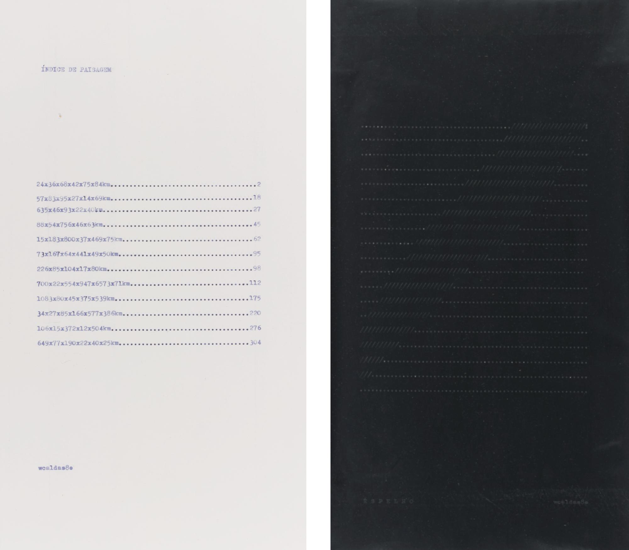 Waltercio Caldas - Indice De Paisagem And Esphelo