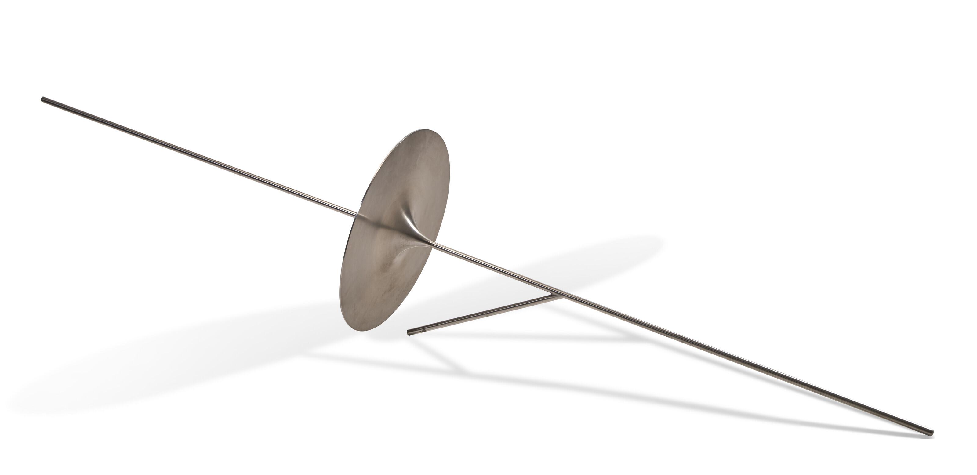 Waltercio Caldas - The Next