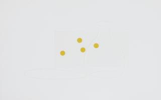 Waltércio Caldas - Untitled