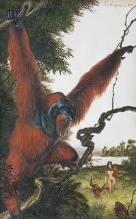 Walton Ford - Anthroponosis - 1975