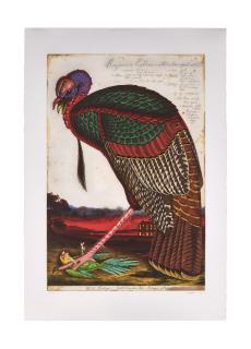 Walton Ford - Benjamin\'s Emblem