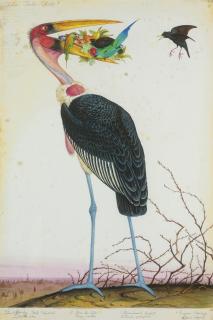 Walton Ford - Chalo, Chalo, Chalo!