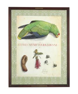 Walton Ford - Columbiana-Culebra Island Amazon