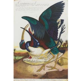 Walton Ford - Compromised And Visitation