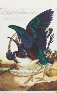 Walton Ford - Compromised