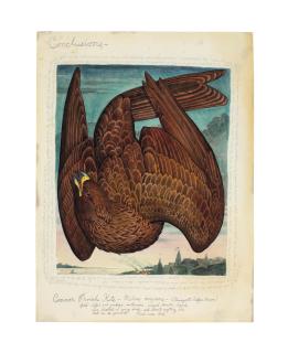 Walton Ford - Conclusions