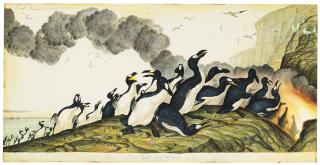 Walton Ford - Funk Island