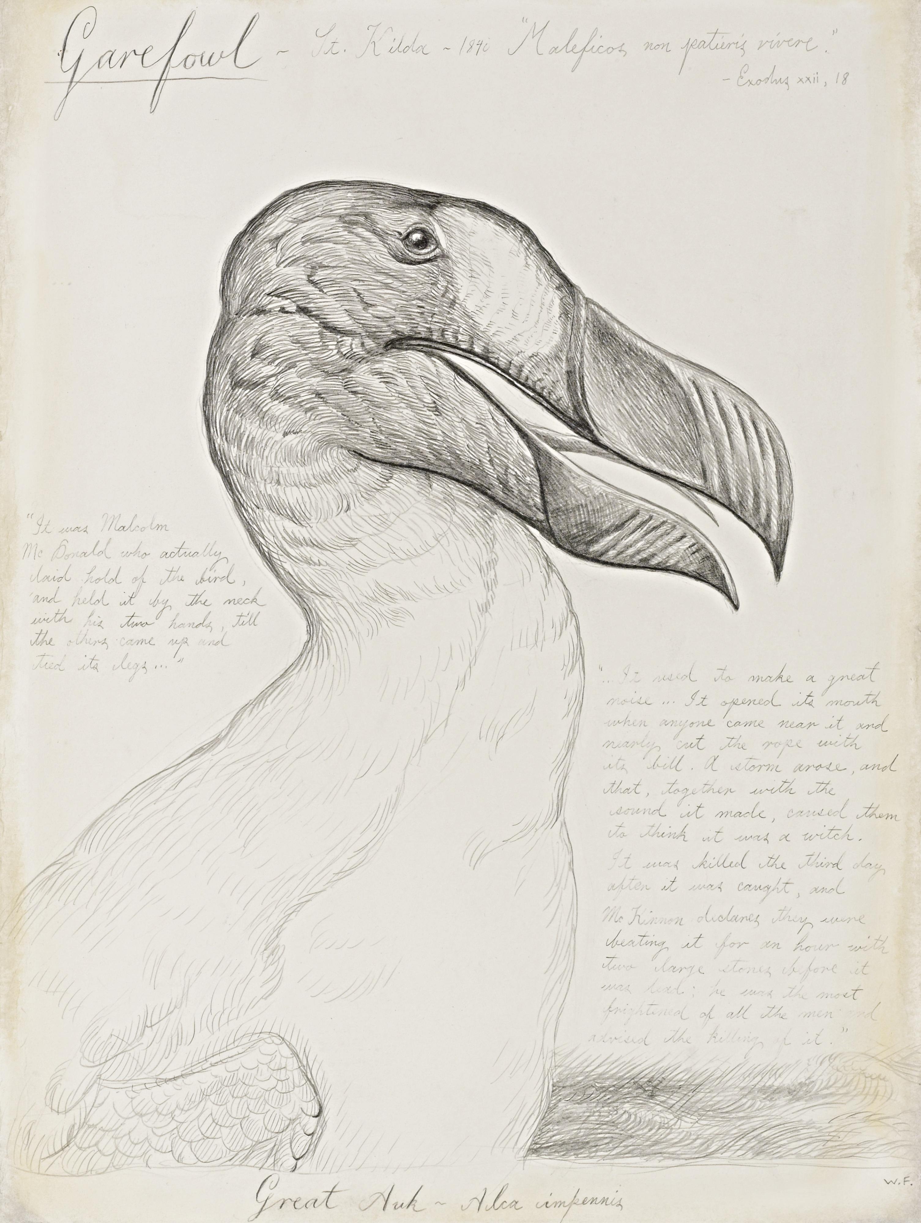 Walton Ford - Garefowl