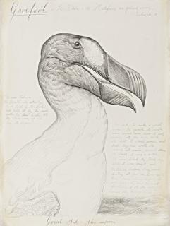 Walton Ford - Garefowl