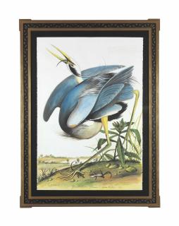 Walton Ford - Great Blue Heron