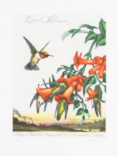 Walton Ford - Limed Blossoms (Deluxe Edition)