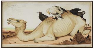 Walton Ford - Necropolis