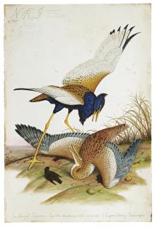 Walton Ford - Nri #2