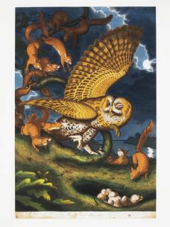 Walton Ford - The Tale of Johnny Nutkin