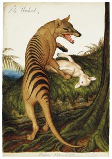 Walton Ford - The Undead