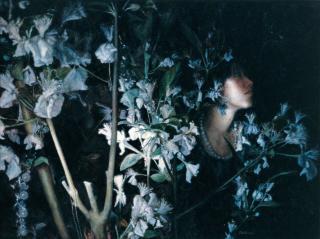 Wang Daishan - Garden No.1