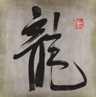 Wang Fangyu - Dragon Calligraphy