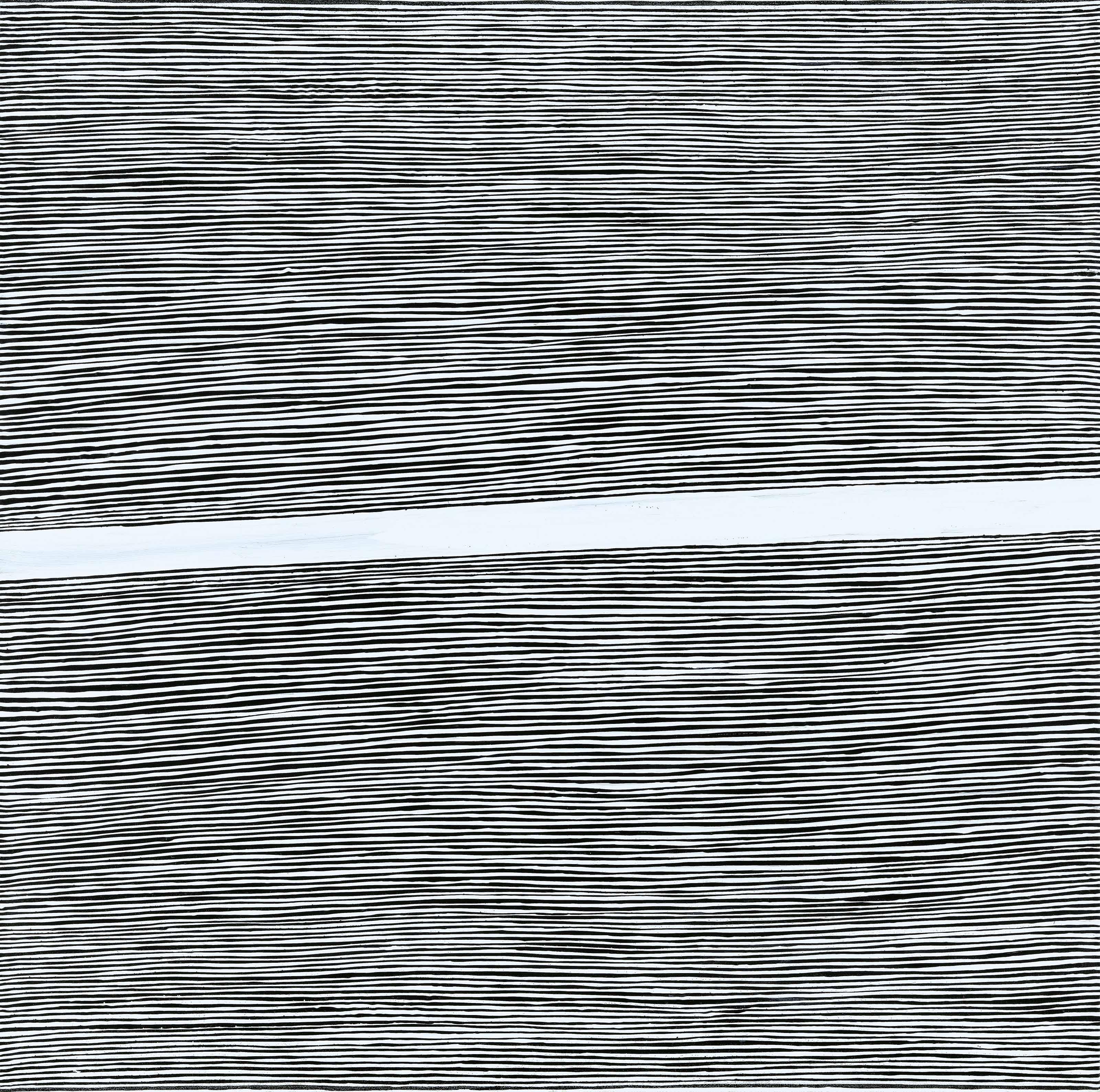 Wang Guangle - Coffin Paint 110703