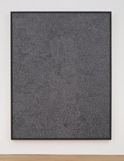 Wang Guangle - Terrazzo 2003. 5