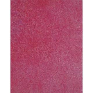 Wang Guangle - Terrazzo 2007.04