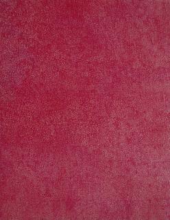 Wang Guangle - Terrazzo 2007.04