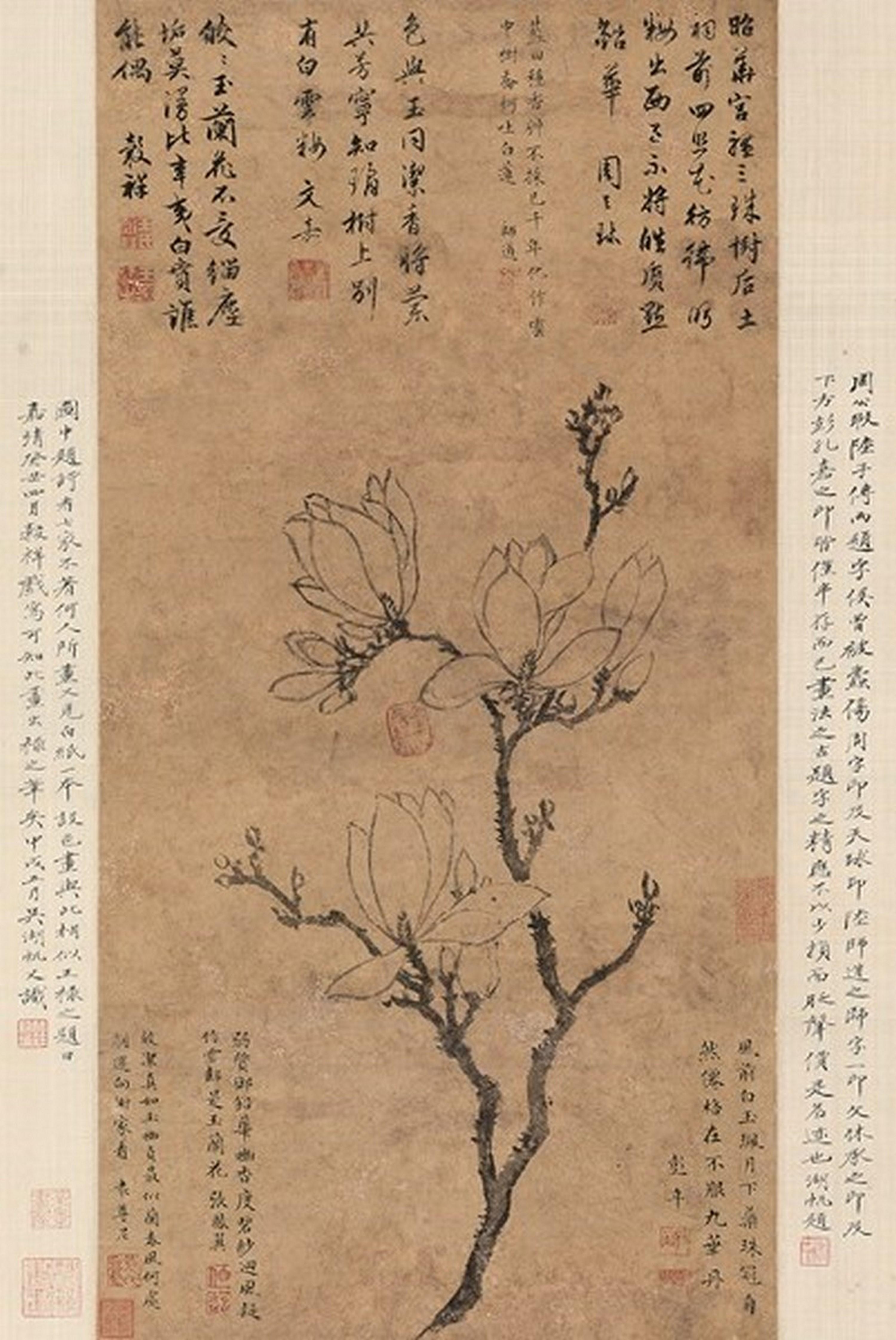 Wang Guxiang - Mognolia Denudata