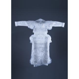 Wang Jin - Dream Of China