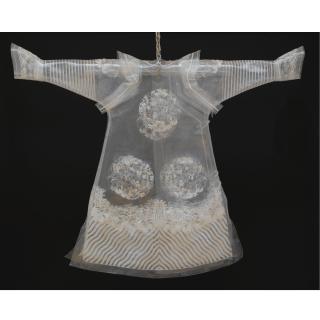 Wang Jin - The Dream Of China