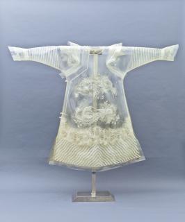 Wang Jin - The Dream of China