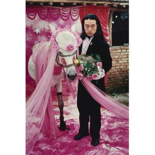 Wang Jin - To Marry A Mule